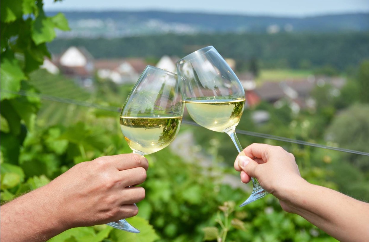 Verdicchio